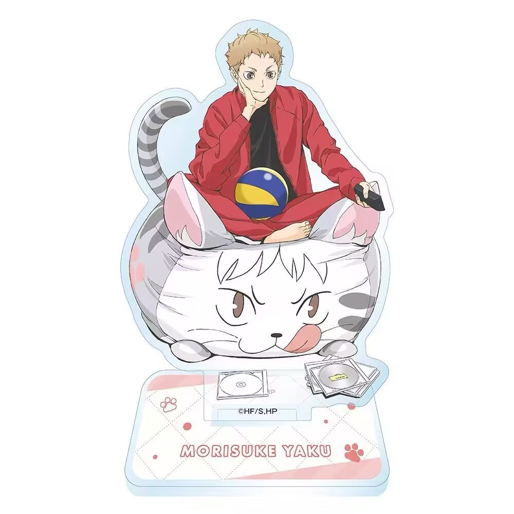 Volleyball Boys Animation Acry - огляд і ціна Men'S Volleyball Accessories